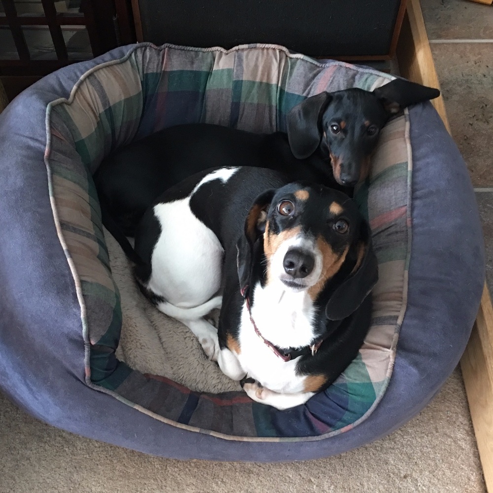 Meet your Posher, Ruth - Picture 6 of 16